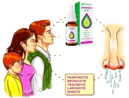 Evamenol (Levomenthol) nasal ointment 15 gr