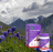 Curcumin (antibacterial action) capsules