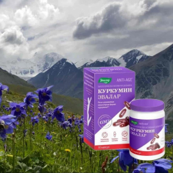 Curcumin (antibacterial action) capsules
