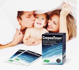 Spermplant for men increases the reproductive capacity of 10 sachets