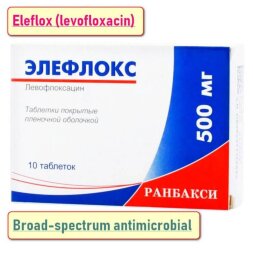 Eleflox (levofloxacin) 500 mg 10 tablets