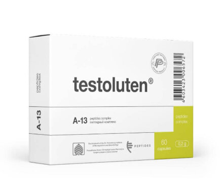 Testoluten (male reproductive system)