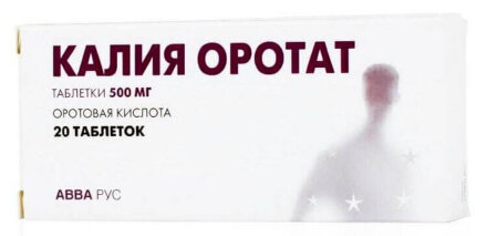 Orotic acid 500 mg