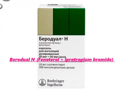 Berodual N (Fenoterol + Ipratropium bromide) aerosol for inhalation