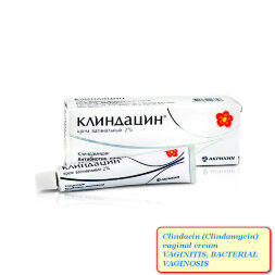 Clindacin (Clindamycin) vaginal cream 2% 20 gr
