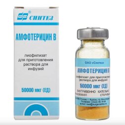 Amphotericin B 50 mg