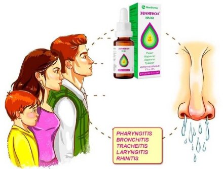 Evamenol Nazo nasal spray-drops 12 ml