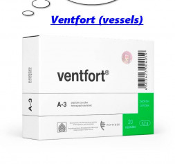 Ventfort (vessels)