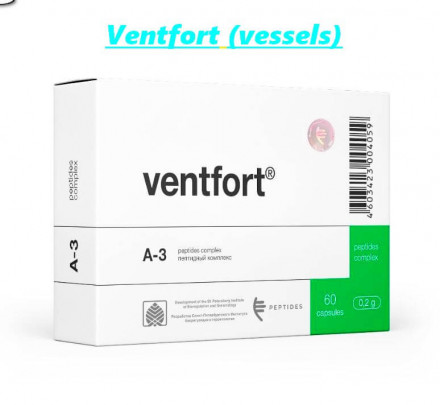 Ventfort (vessels)