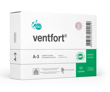 Ventfort (vessels)